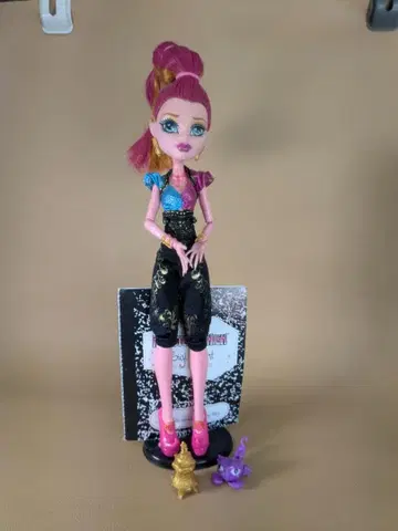 MONSTER 하이 13 wishes Gigi 지지 그랑 몬스터 하이