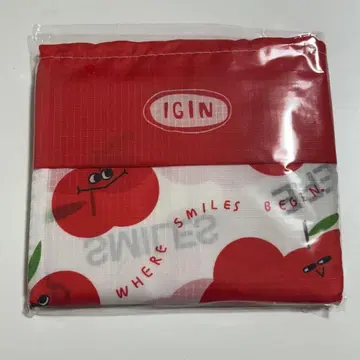 BTS 진 IGIN 에코백 2