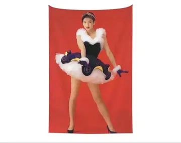 모리타카 치사토 태피스트리 벽걸이 커튼 블랭킷 새상품 모리타카 랜드 b