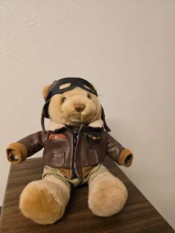 캐세이패시픽 베어 파이롯트 자켓 봉제 인형
