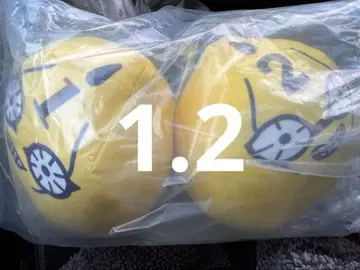 죠죠의 기묘한 모험 제일복권 G상