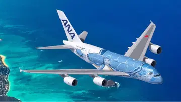 ANA 에어버스 A380 특별 페인팅