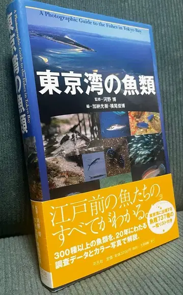 미사용품 도쿄만 어류 도감