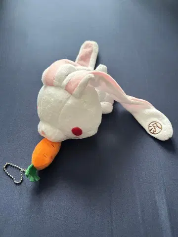 글루미 범용 토끼 당근