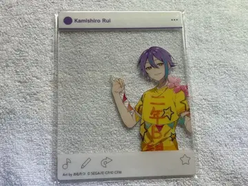 프로세카 카미고 문화제 아크릴 카드 카미시로 루이