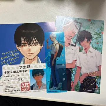 빛이 죽은 여름 묶음 판매