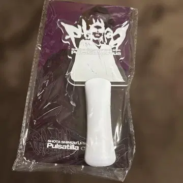 SHOTA SHIMIZU 응원봉 2025년 투어