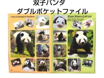 우에노 동물원 샤오샤오&레이레이 더블 포켓 파일 1장