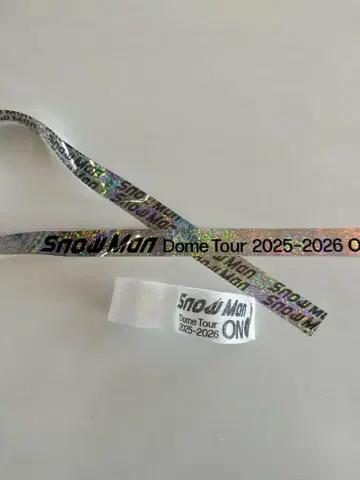 Snow Man Dome Tour 2025-2026 낙하물