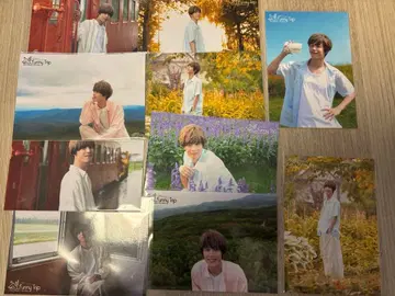 혼다 레오 브로마이드 파니토 리 Funny Trip