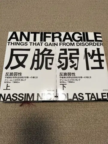 반취약성 상하권 세트 불확실한 세상을 살아남는 유일한 사고방식