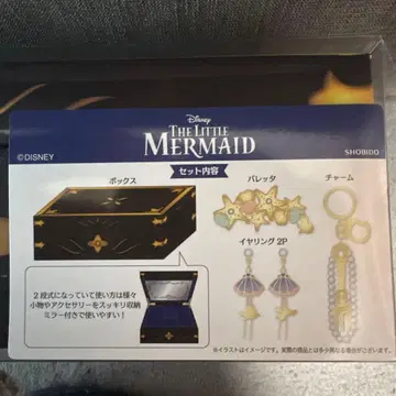 아리엘 액세서리 박스