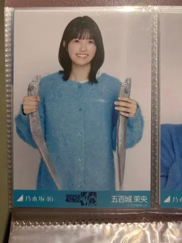 노기자카46 이오키 마오 언더 라이브 니트 롱 데님 스커트 츄