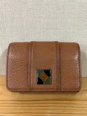 아네스베 카드 케이스 패스 케이스