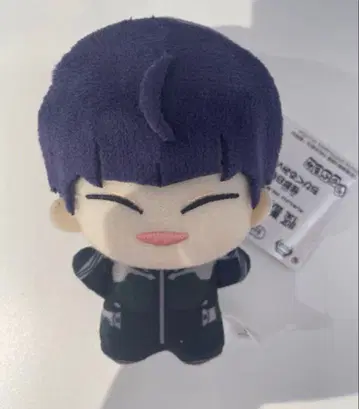 괴수 8호 SD 인형 호시나 소우시로 vol.2