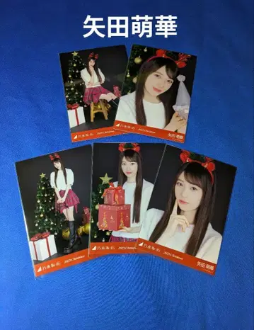 노기자카46 야타 모에카 크리스마스 2025 5종 컴프