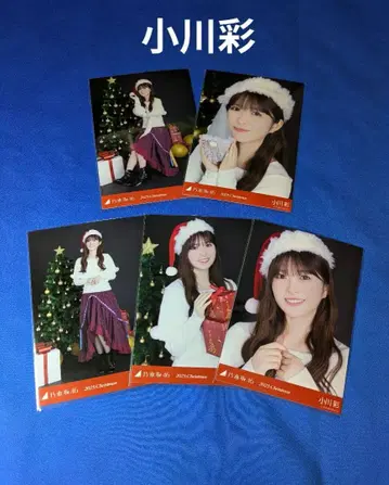 노기자카46 오가와 아야 크리스마스 2025 5종 컴프