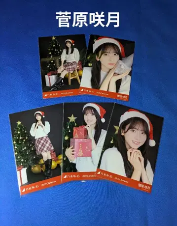 노기자카46 스가와라 사츠키 크리스마스 2025 5종 컴프