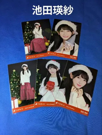 노기자카46 이케다 에레나 크리스마스 2025 5종 컴프