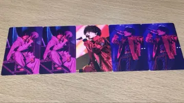 우라시마사카타센 시마 포토 카드 솔로 컴플리트 워닝