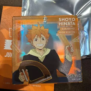 히나타 쇼요 아크릴 스탠드 카라스노 고교