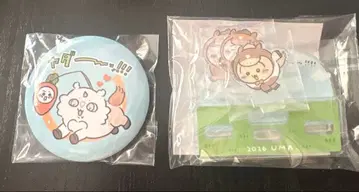 치이카와 해피백 2026