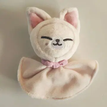 폭시니 테루테루보즈 SKZOO 아이엔 스트레이 키즈 Stray Kids