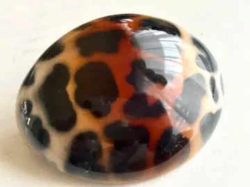 미사용 프랑스제 레오파드 무늬 둥근 vintage 헤어 머리핀