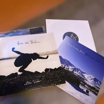 Into the Wild 사운드트랙 LP 레코드