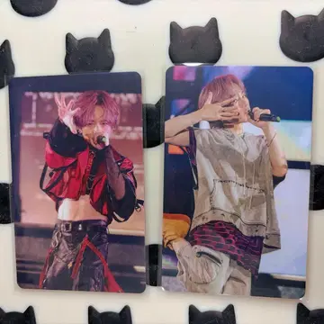 우라시마사카타센 우라타누키 랜덤 미니 포토 카드