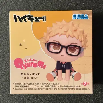 하이큐!! 큐룽하게 쳐다보는 포즈 미니 피규어 츠키시마 케이