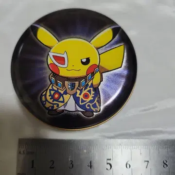 보스 놀이 피카츄 플라스마단 게치스 제크로무 레시라무 포켓몬 센터