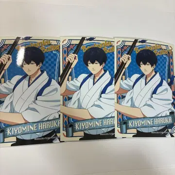 점페스 JF2026 엔스카이 브로마이드 리본 청봉엽류화