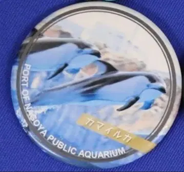 돌돌 기부 2026 나고야항 수족관 커먼돌고래 캔뱃지