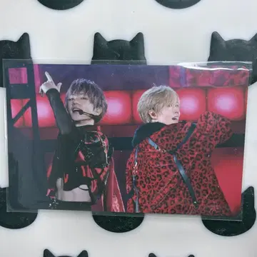 우라시마사카타센 우라타누키 아호노 사카타. 랜덤 미니 포토 카드