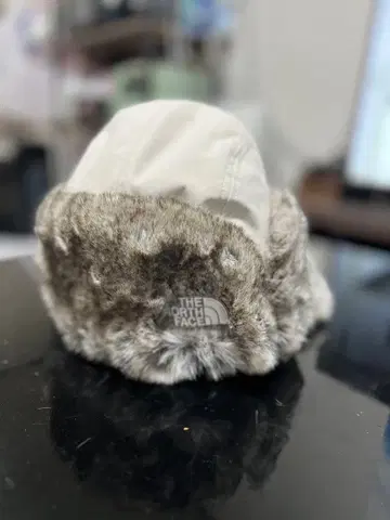 THE NORTH FACE 플라이트 캡 베이지