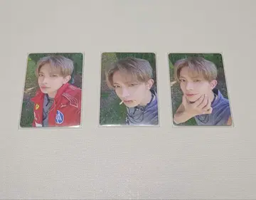 ENHYPEN DICON 히순 포토카드 3장 세트