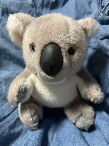 코알라 코알라짱 예쁜 봉제 인형 약 20cm