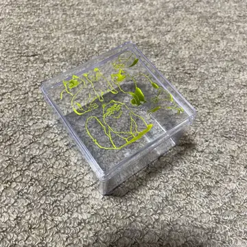 고양이 보석 상자 카네코 아야노