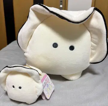 [인기] 동글동글 눈망울의 꼬옥 누이 나마가키 세트 판매