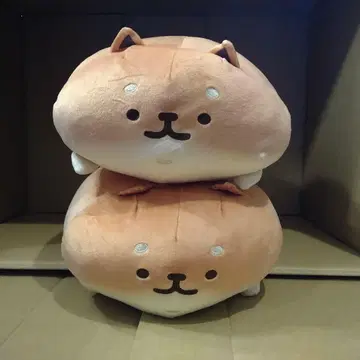 이스트켄 시바 코페 2체 세트 1체 택 포함(접힘 있음) 1체 택 없음