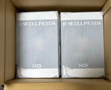 XG 스컬 팬더 popmart skullpanda 2체 세트