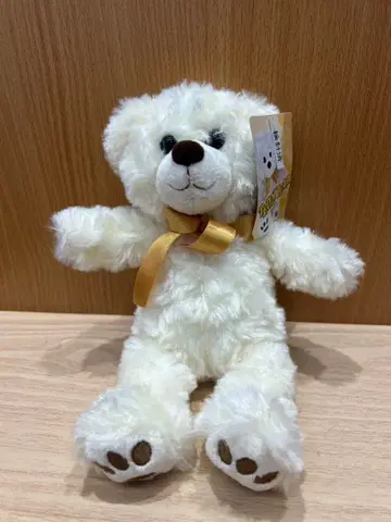 화이트 테디베어 봉제 인형