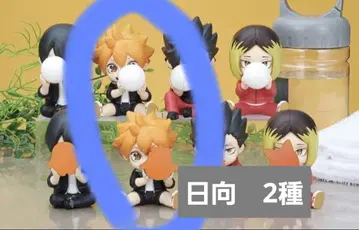 하이큐!! Hide & Seek 숨바꼭질 히나타 쇼요 세트