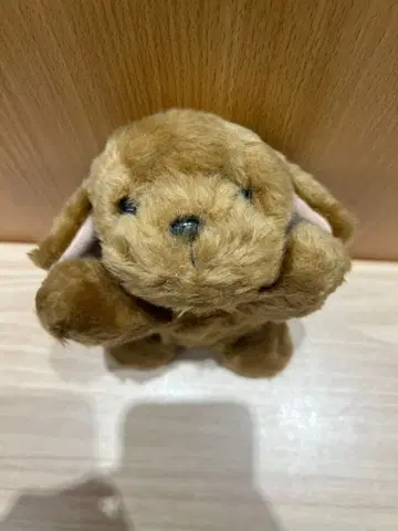 브라운 봉제 인형