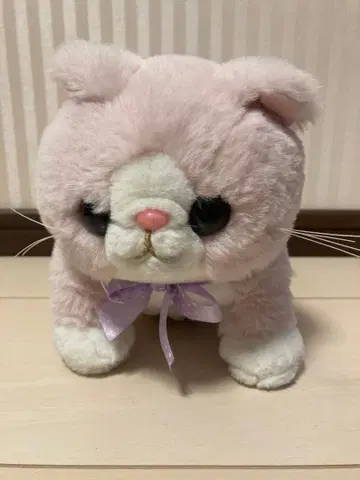 마쉬멜로우 삼색 고양이 핑크