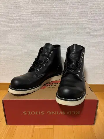 RED WING 8165 아이리쉬 세터 8D
