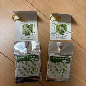 산리오 모 헬로키티 아크릴 키링