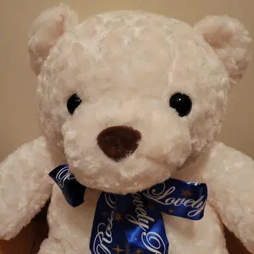 Lovely Rose Bear 스타 샤이니 봉제 인형