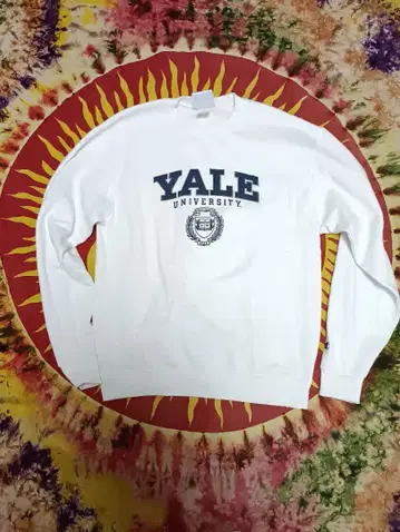 Champion Yale University 맨투맨 M